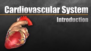 Cardiovascular System In Under 10 Minutes [upl. by Antone354]