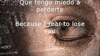 Besame Mucho  Lyrics Spanish English [upl. by Enneiluj]