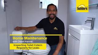 How to Inspect a Toilet Cistern Regularly for Leaks [upl. by Oleic]