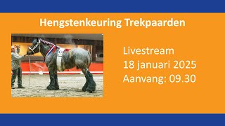 Hengstenkeuring Trekpaarden 2025 [upl. by Clemente]