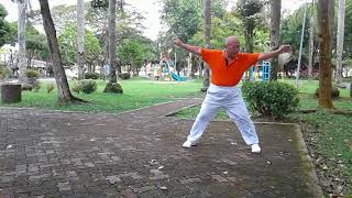 Taiji Qigong Shibashi  Set 5 [upl. by Nodnarb622]