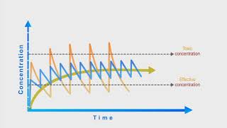 Pharmacokinetics animation Dosing Interval [upl. by Marybella]