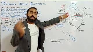 Introduction and principle of DSC  Differential scanning colorimeter  DSC [upl. by Noelopan364]