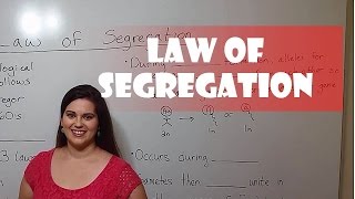 Mendels Law of Segregation [upl. by Sobmalarah]