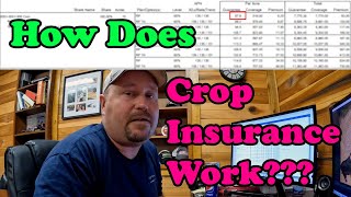 How Crop Insurance Works [upl. by Lilahk854]