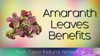 Amaranth Leaves Benefits and Uses [upl. by Ycal79]