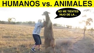 Top 10 Humanos Peleando Con Animales [upl. by Stiegler]