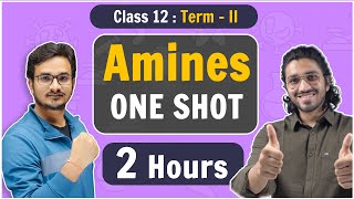 Class 12  Amines in One Shot  NCERT Term2 [upl. by Izabel777]