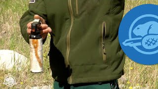 How to Use Bear Spray  Banff National Park [upl. by Ceporah999]