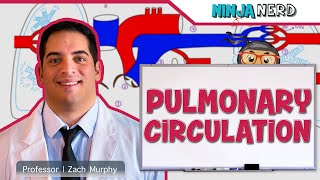 Circulatory System  Pulmonary Circulation [upl. by Hanah]