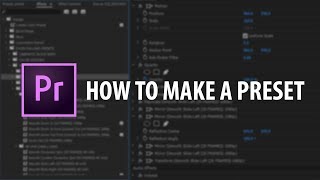 Premiere Pro How To Make A Preset [upl. by Favrot669]