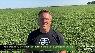 Soybean Fungicide Yield Benefits and Timing [upl. by Mahtal891]