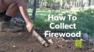 How To Collect Firewood [upl. by Moritz328]