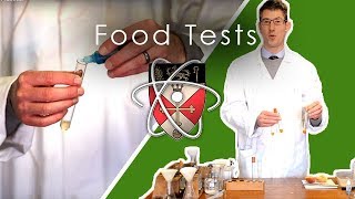 Food Tests  GCSE Science Required Practical [upl. by Acisset]