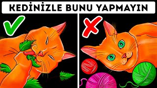 Konuşan Kediler 28  En Komik Kedi Videoları [upl. by Robbie]