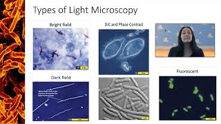 Types of Light Microscopy [upl. by Anwat]