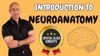 Intro to Neuroanatomy  Neurophysiology  Neuroscience  Central Nervous System [upl. by Myrna877]