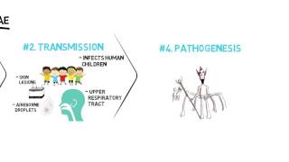 Corynebacterium Diphtheriae [upl. by Ekrub]