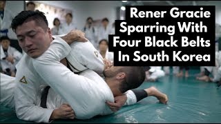 Rener Gracie vs 4 Korean Black Belts [upl. by Hyland]