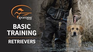 Basic Training  Retrievers [upl. by Ainahpets]