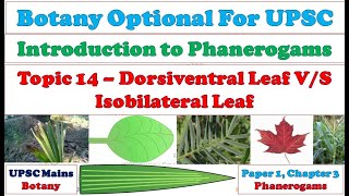 Preparing and mounting of an epidermal peel of dicot leaf [upl. by Eveleen]