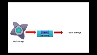 Chronic Inflammation in IBD and How AntiTNF Therapy Works [upl. by Nolyd]