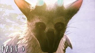 THE LAST GUARDIAN Walkthrough Gameplay Part 3  Knights PS4 PRO [upl. by Airetas649]