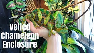 How to Set Up A Veiled Chameleon Enclosure [upl. by Maris734]