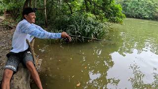 Pescando tilapias una tras otra muchísimas en este lugar [upl. by Inami]