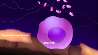 Introduction to Cancer Biology Part 3 Tissue Invasion and Metastasis [upl. by Blinny]