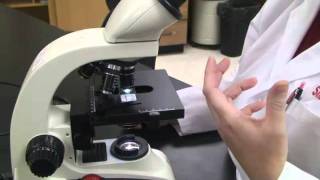 Introduction to the Light Microscope [upl. by Schenck]