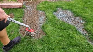 Reseeding Some Bare Spots  DIY Lawn Guy [upl. by Limay]