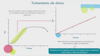 Curva de crecimiento microbiano por densidad óptica [upl. by Dianthe231]