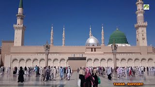 Saudi Arabia Travel Masjid Nabawi Walk in amp Out [upl. by Britton564]