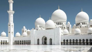 Shaikh Zayed Mosque Abu Dhabi Worlds Beautiful Mosque [upl. by Esorrebma]