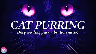 CAT PURRING HEALING POWER VIBRATIONS ✧120hz ✧ RELIEVE ANXIETY STRESS amp SLEEP ✧ FOR HUMANS amp CATS 4K [upl. by Raleigh90]