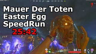 Mauer Der Toten Solo Easter Egg Speed Run 2542 [upl. by Nawrocki]