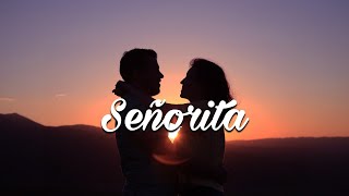 Shawn Mendes amp Camila Cabello  Señorita Lyrics [upl. by Neillij]