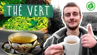 Le THÉ VERT  Boisson Miracle  Bienfaits amp Vertus [upl. by Otanod]