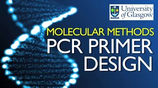 PCR Primer Design [upl. by Lanrev]