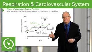 Anesthesiology Respiration amp Cardiovascular System – Anesthesiology  Lecturio [upl. by Adyol]