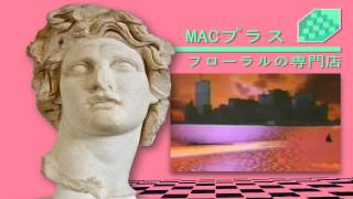 Macintosh Plus  Floral Shoppe FULL ALBUM [upl. by Elyrpa327]