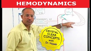 Hemodynamics  Circulatory System Physiology [upl. by Raven]