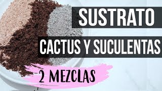 COMO PREPARAR SUSTRATO PARA CACTUS Y SUCULENTAS 2018  2 TIPOS DE MEZCLA [upl. by Keheley]