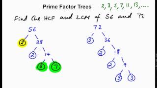 Prime factor trees  finding HCF  LCM N [upl. by Yllib386]