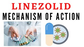 Linezolid mechanism of action [upl. by Inaj]