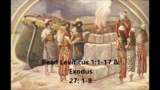 Did God Really Command Animal Sacrifice  Bible Answers [upl. by Stucker117]