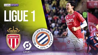 Monaco vs Montpellier  LIGUE 1  LIGUE 1 HIGHLIGHTS  12032023  beIN SPORTS USA [upl. by Deirdra]