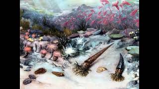 Late Ordovician mass extinction [upl. by Nnylaf]