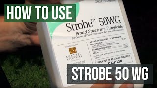 Strobe 50 WG Fungicide Azoxystrobin How To Use [upl. by Yllek]